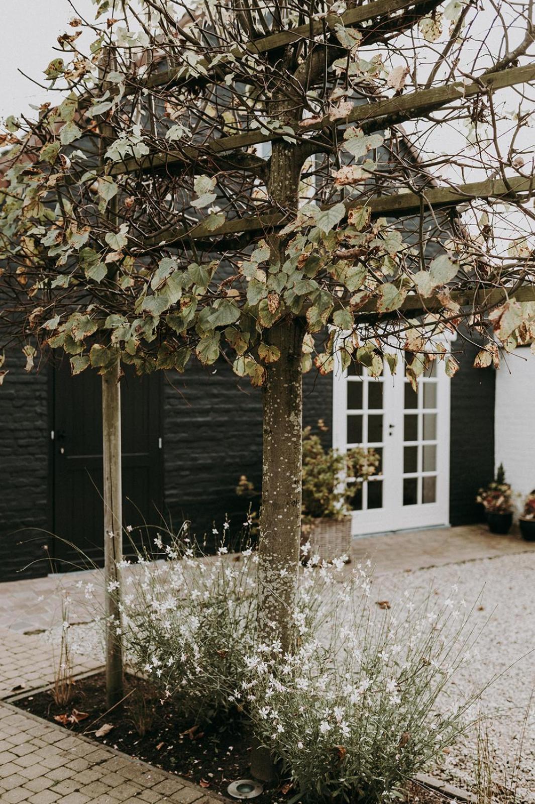 Charmeverblijf Juliette Kasterlee Exteriör bild